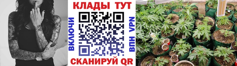 Где купить Геленджик ГАШИШ  СК  МЕФ  Бошки Шишки 