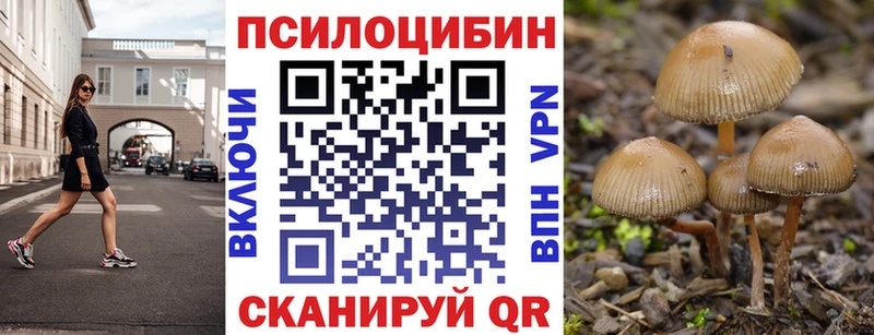 Галлюциногенные грибы прущие грибы Геленджик